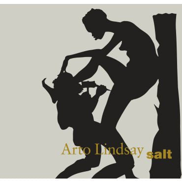 Arto Lindsay-Salt