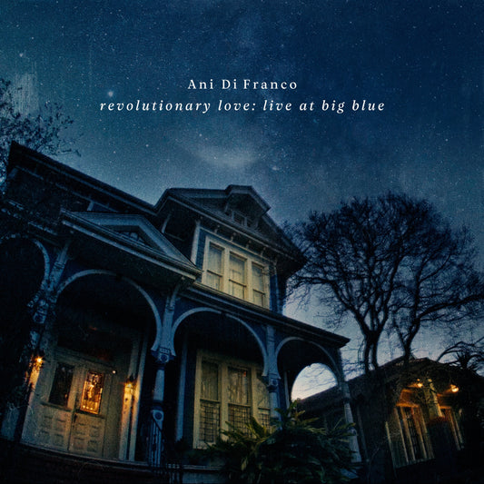 'Revolutionary Love: Live at Big Blue' film and bootleg
