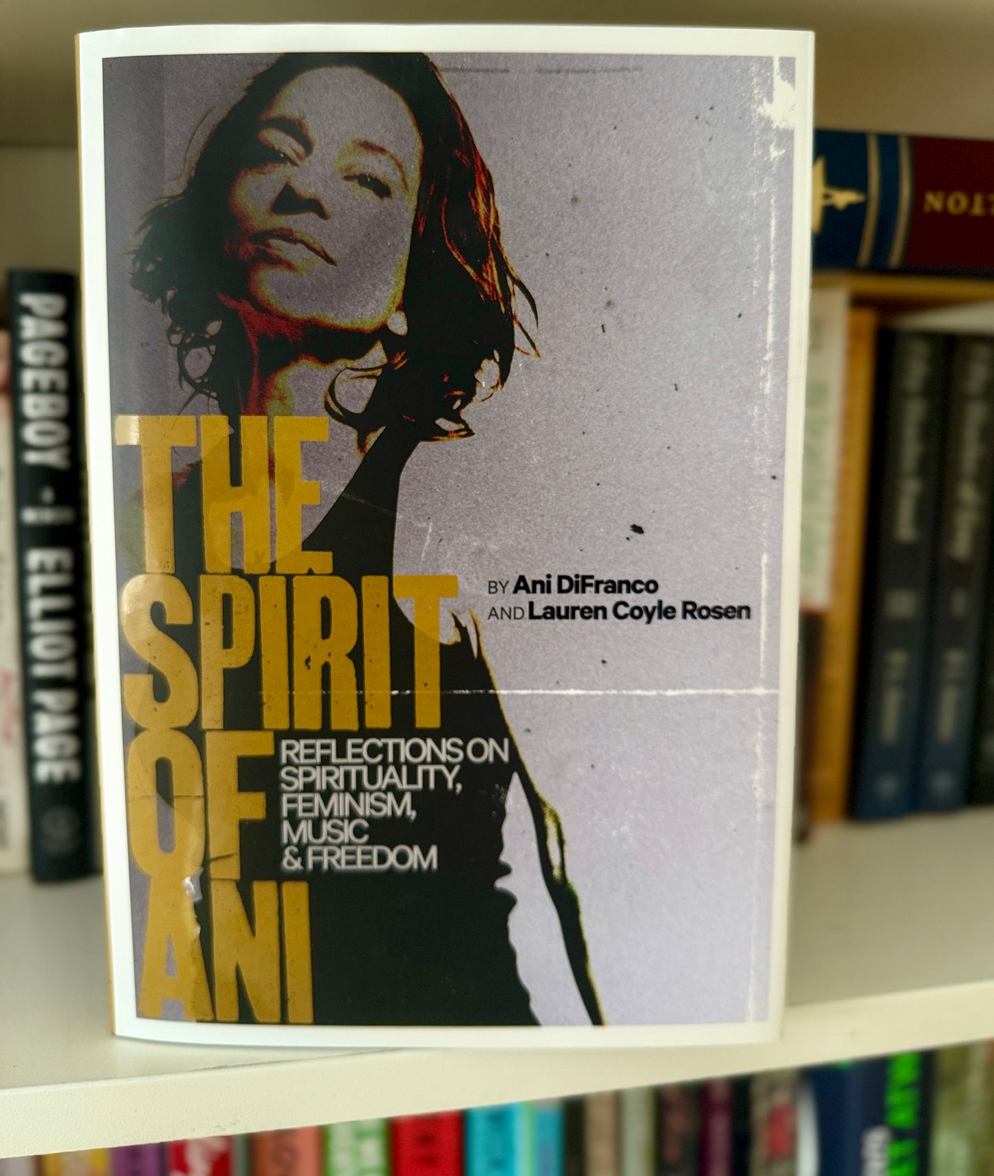The Spirit of Ani: Reflections on Spirituality, Feminism, Music, and Freedom